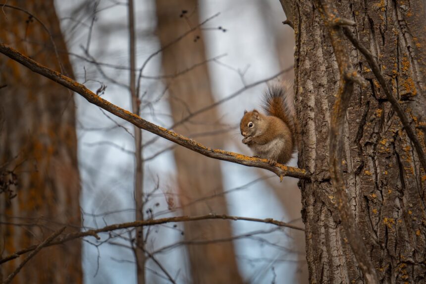 Photo behavior change