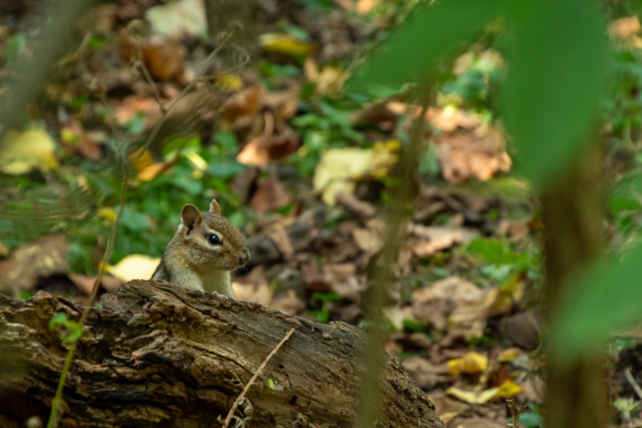 Photo behavior change