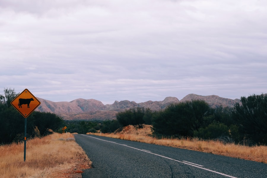 Photo driving safety