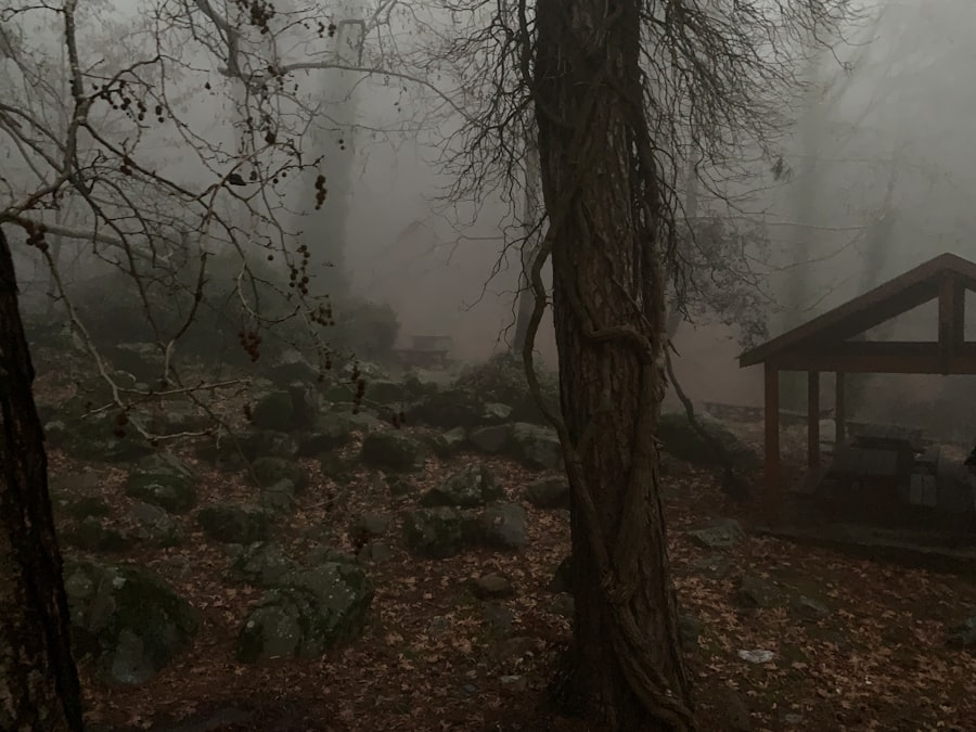 Photo cult environments