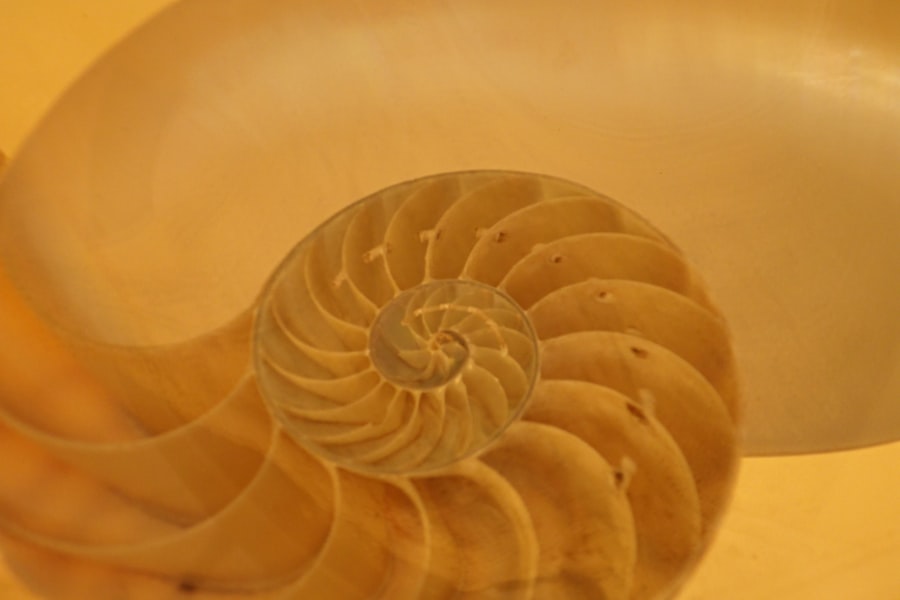 Photo dpdr spiral