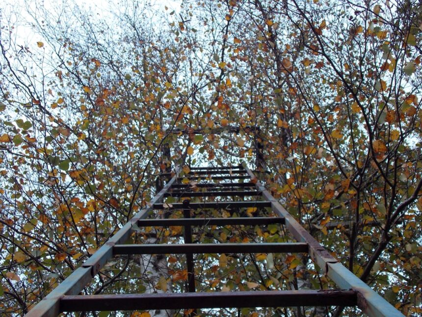 Photo self soothing ladder