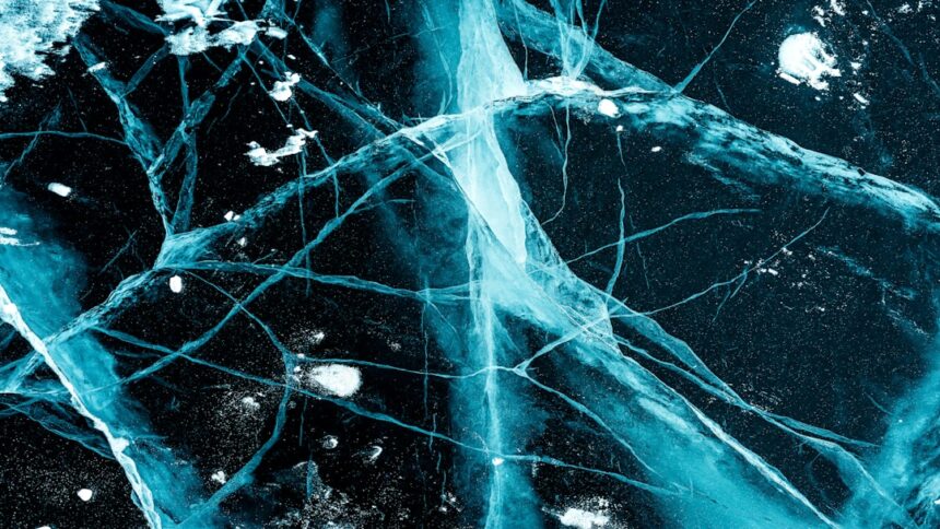 Photo nervous system