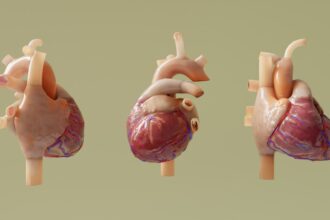 Photo nervous system