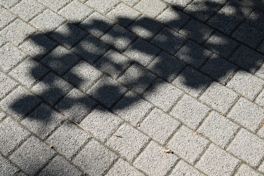 Photo shadow work integration
