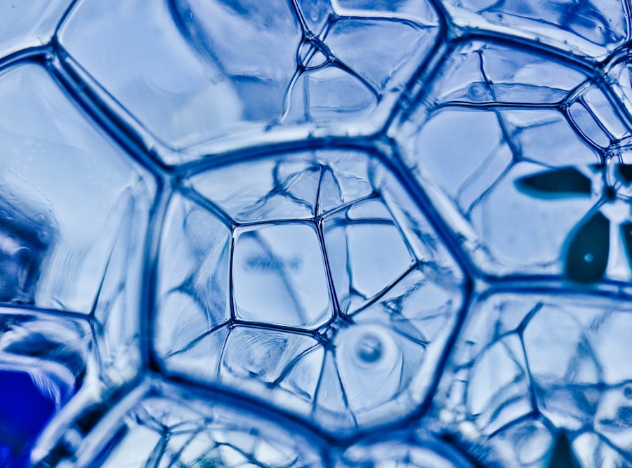 polyvagal theory freeze response