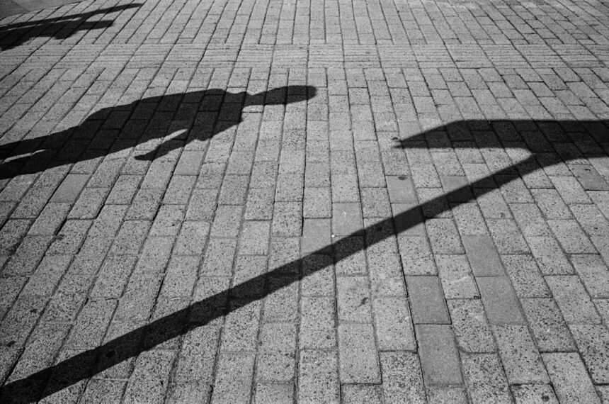Photo narcissists, shadow work
