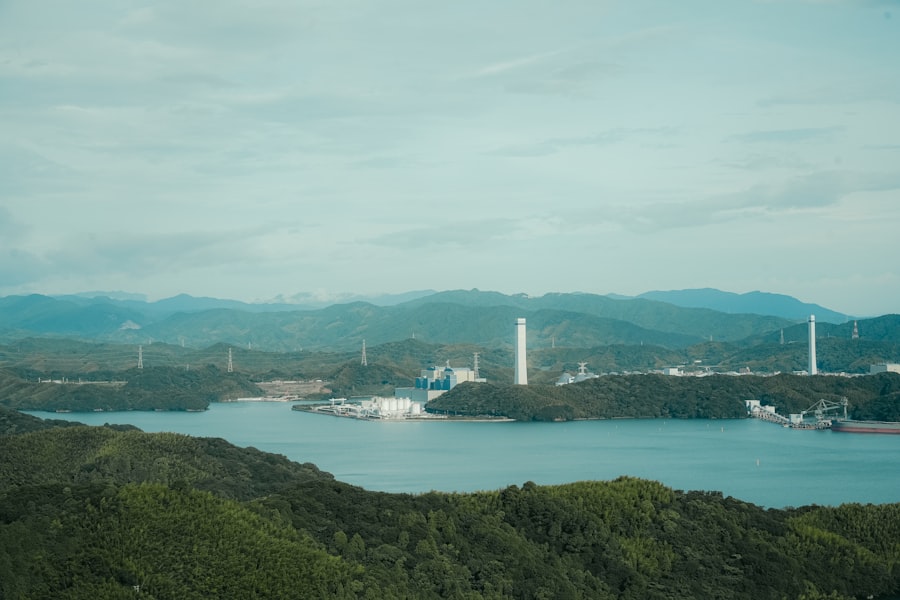 Photo self help industry