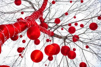 Photo nervous system upregulation