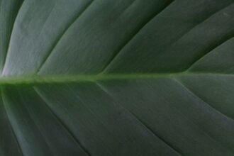 Photo tactile projects