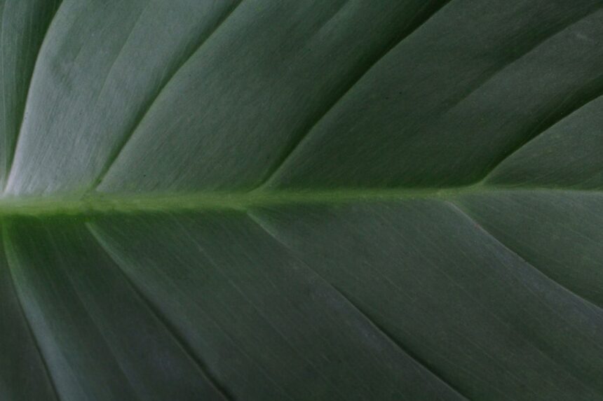 Photo tactile projects