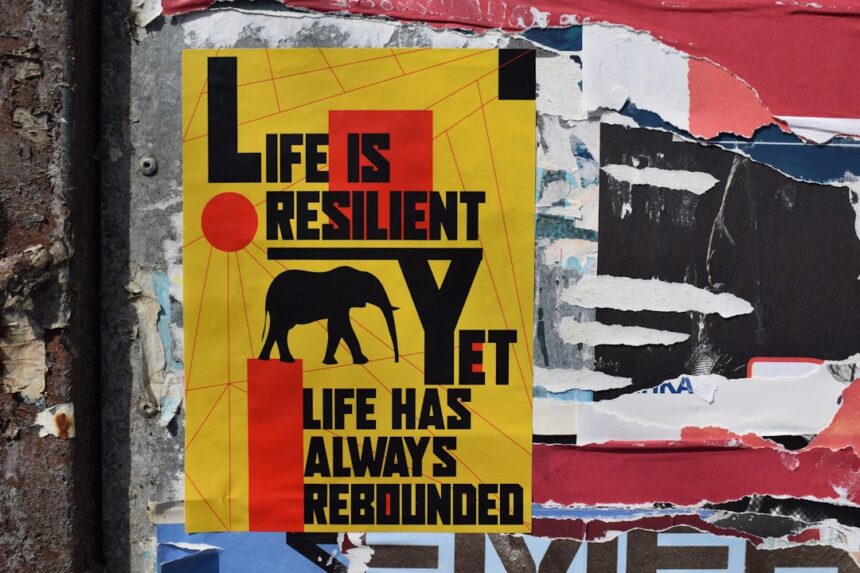 Photo resilient mindset