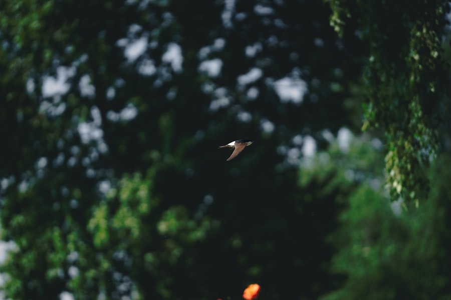 Photo stop living for the expectations