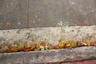 Photo living in the present moment