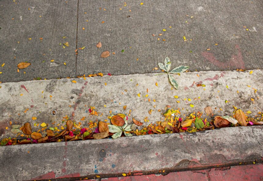 Photo living in the present moment