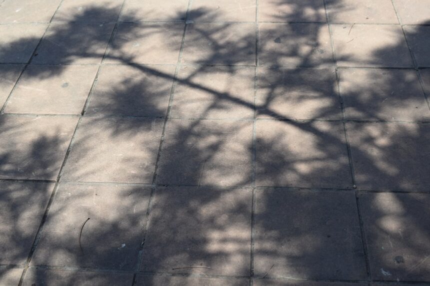 Photo shadow work integration