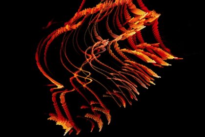 Photo nervous system wave