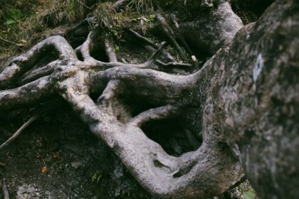 Photo mythcraft personal growth