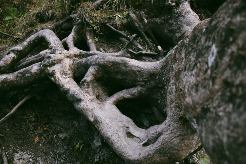 Photo mythcraft personal growth