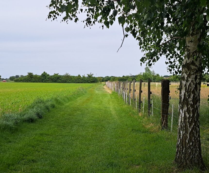 Photo boundary setting