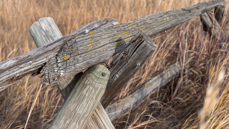 Photo boundary setting