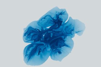 Photo brain plasticity