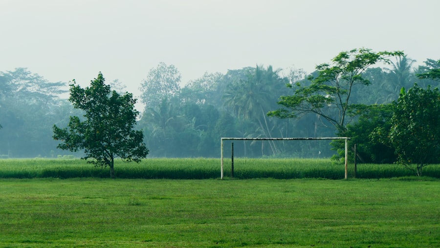 Photo moving goalposts