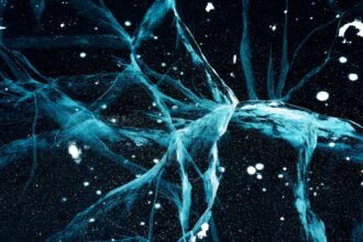 Photo neural pathways