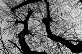 Photo neuroplasticity