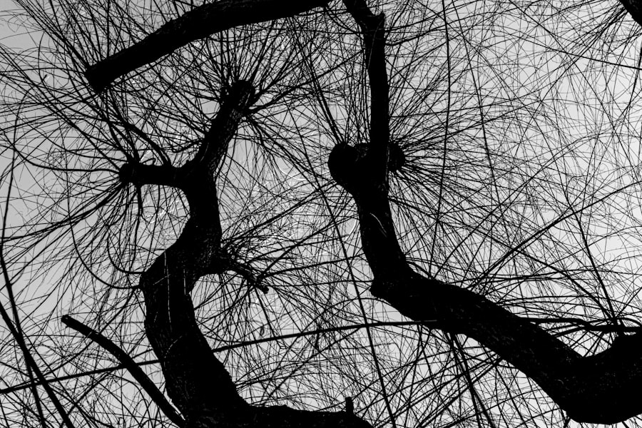 Photo neuroplasticity