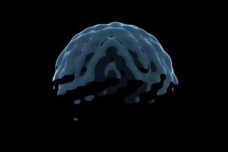 Photo déjà vu neuroscience