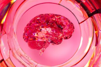 Photo temporal lobe misfire symptoms