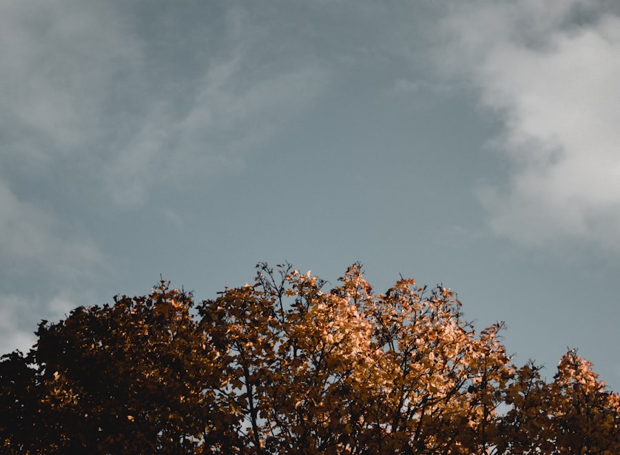 Photo reconnect authentic self