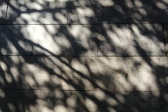 Photo integrate shadow self