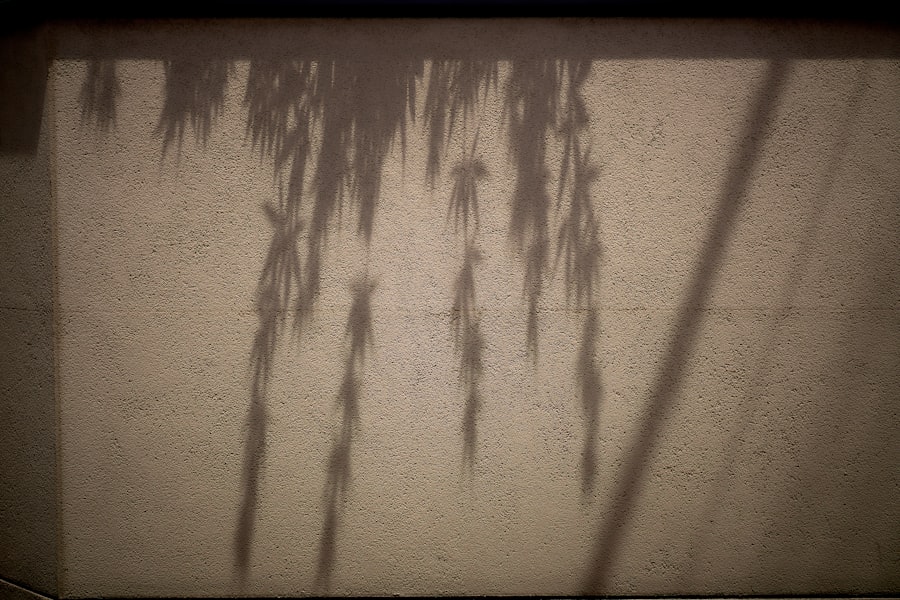 shadow encounters