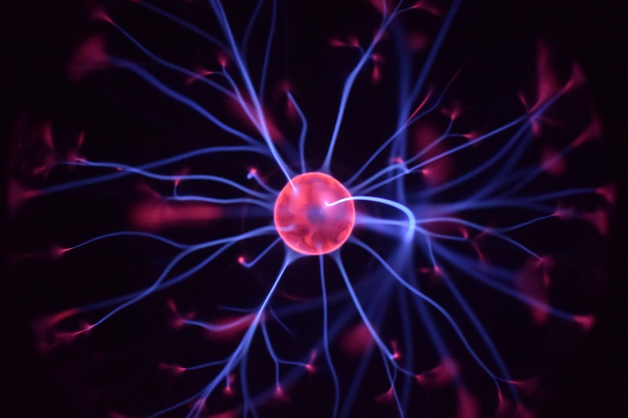 nervous system regulation