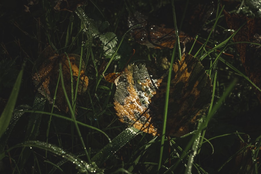 emotional camouflage