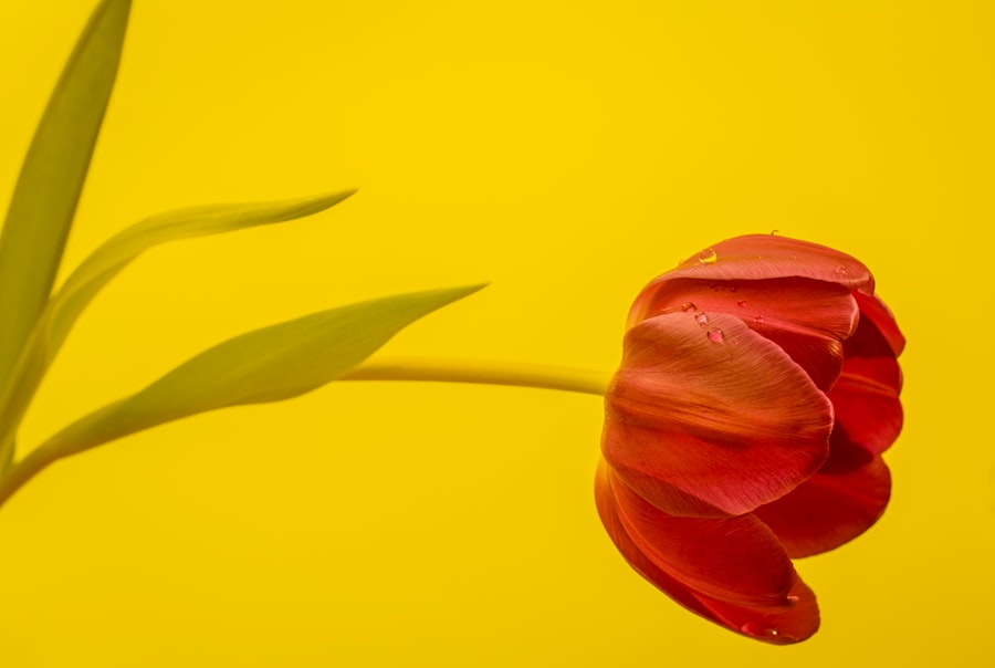 spiritual gifts