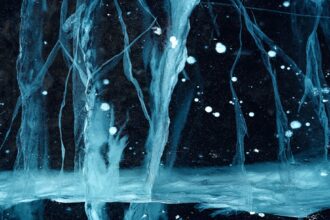 Photo mirror neurons