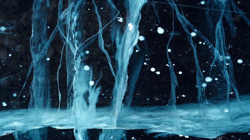 Photo mirror neurons