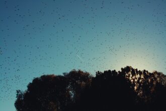 Photo pattern changes