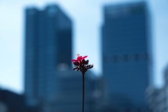 Photo resilience building