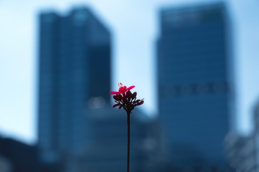 Photo resilience building