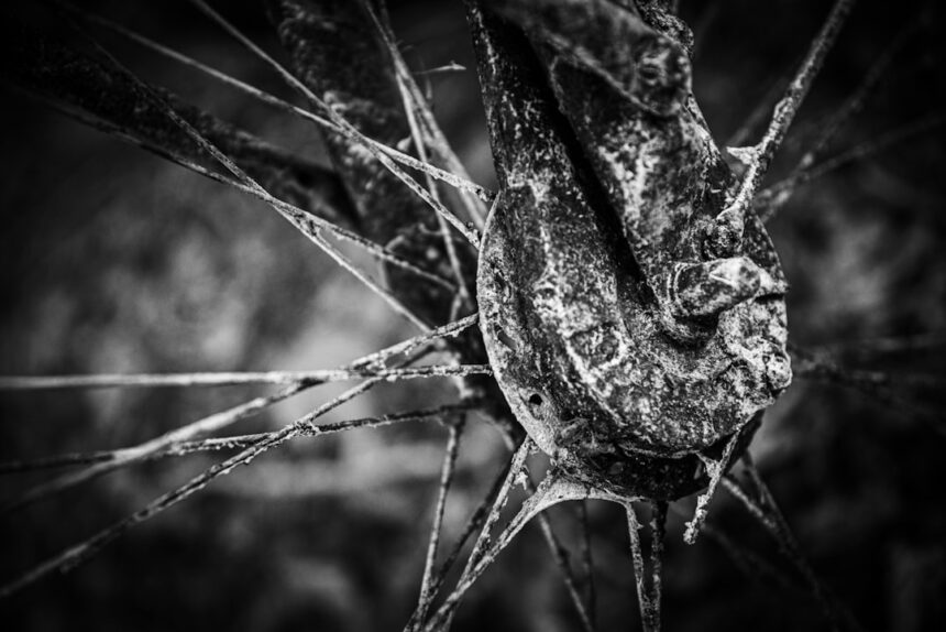 Photo recalibrating nervous system trauma