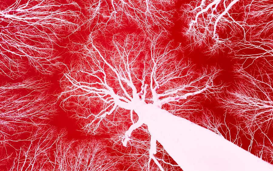 Photo recalibrating nervous system trauma