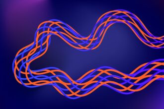 Photo hypervigilance loops