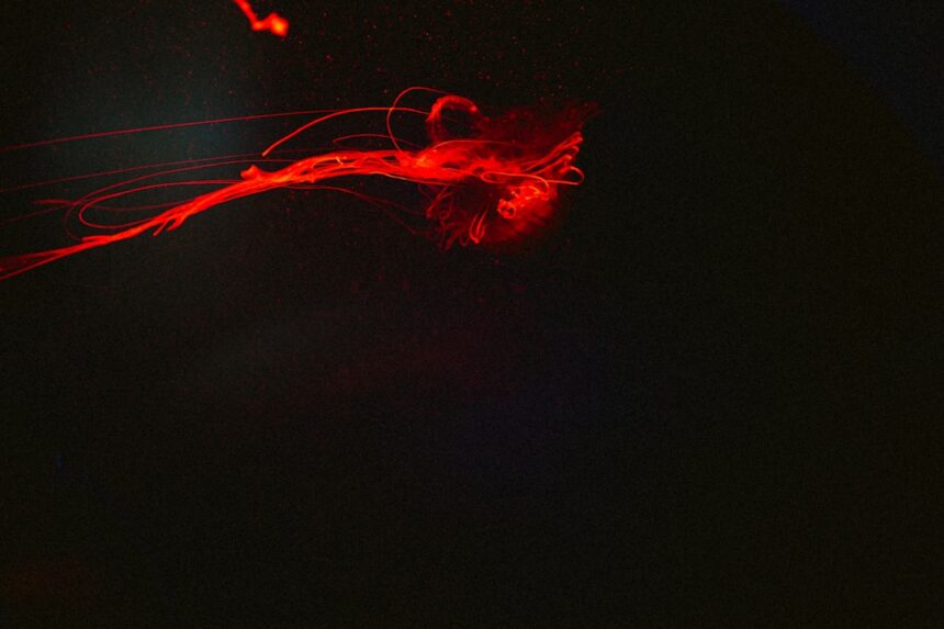 Photo nervous system repatterning