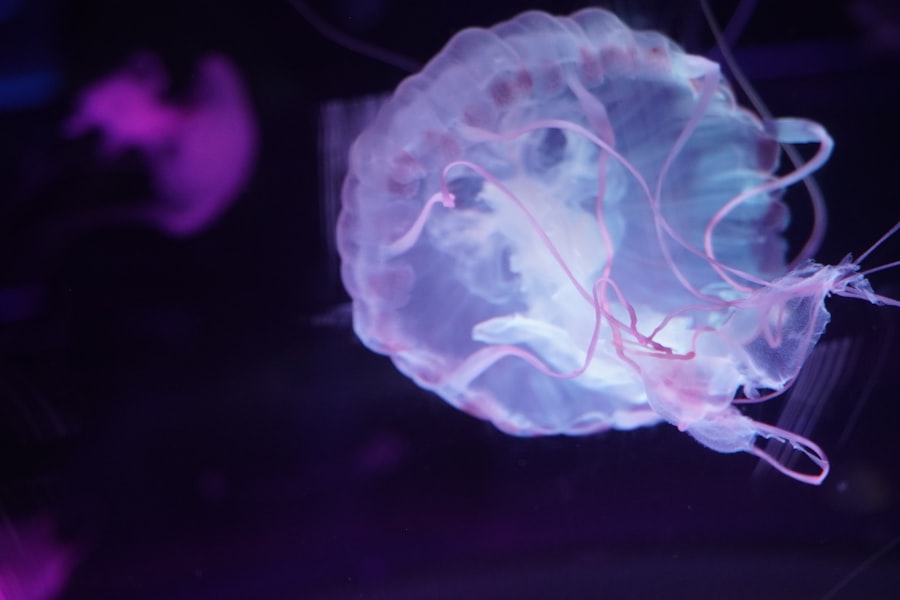 Photo brain rewiring techniques