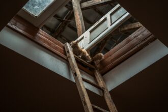 Photo exposure ladder