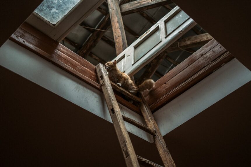 Photo exposure ladder